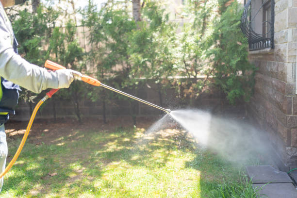 Reliable Terrace Heights, WA Pest Control Solutions